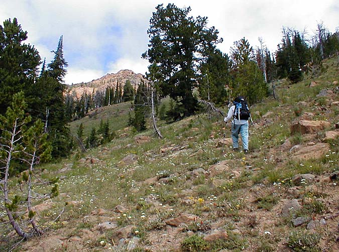 Climbing Out Of The Basin