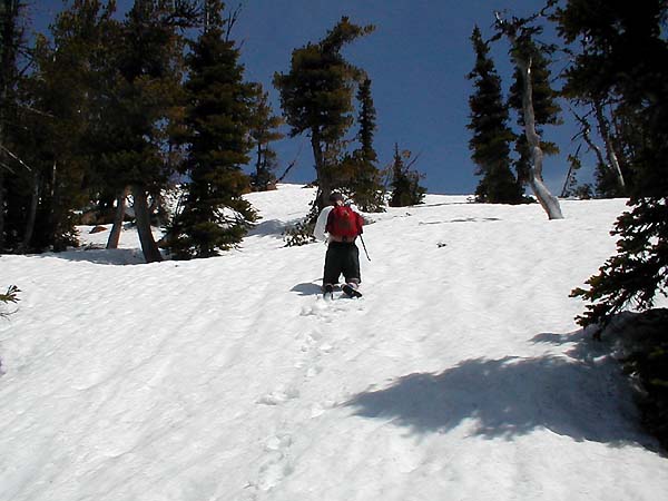 Bill Climbing To The Ridge