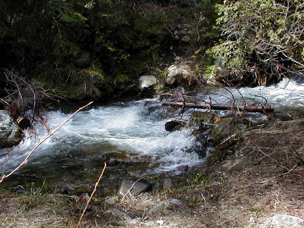 Creek Crossing2