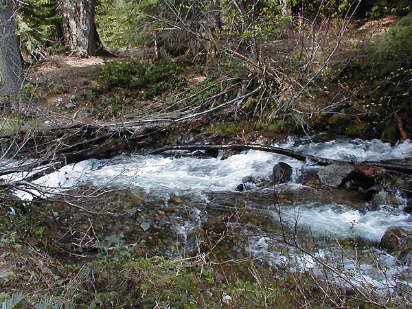 Creek Crossing 3