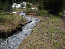 Creek Near Lake