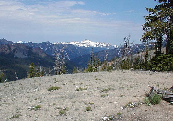 Mt. Daniel From The Pass