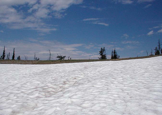 Snow Near Fortune Pass