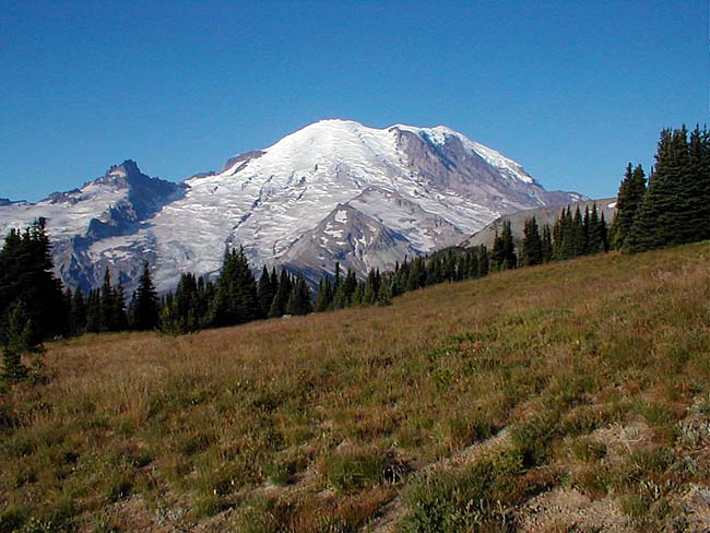 Mt. Rainier