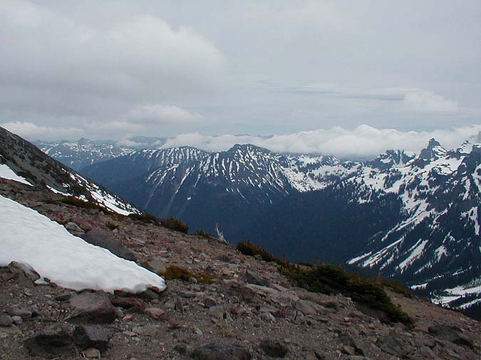 Tamanos From The Ridge