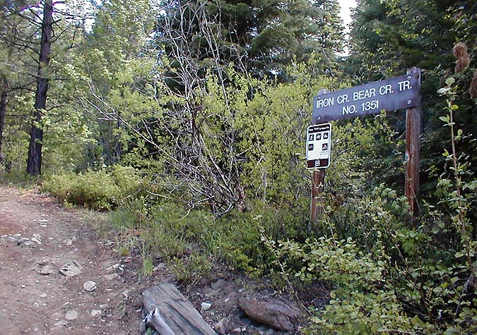 Iron Bear Trailhead