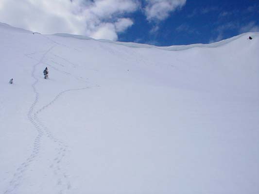 Cornices