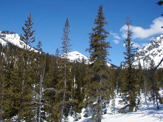 Teanaway Peak