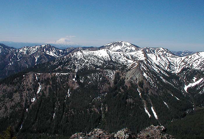 Jolley And Rainier From Summit