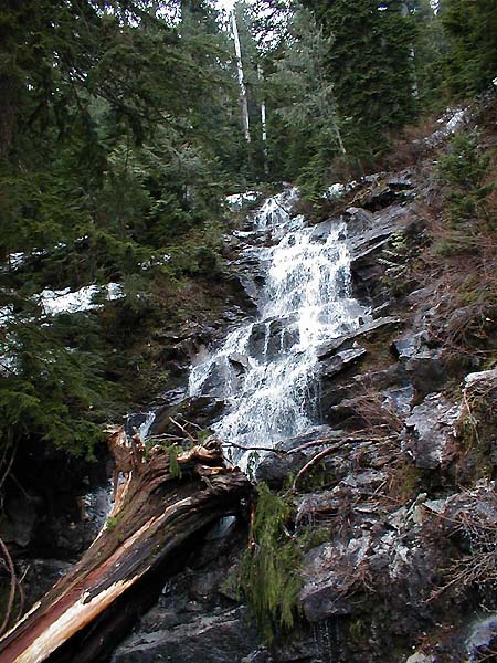 Waterfall And Snow