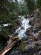 Cascades Along Trail