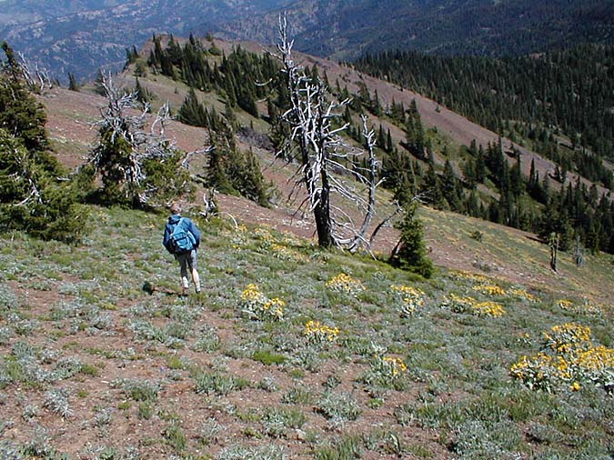 Hiking Down The Ridge