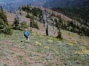 Hiking Down Ridge