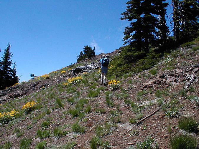 Gary Climbing Up To The Ridge