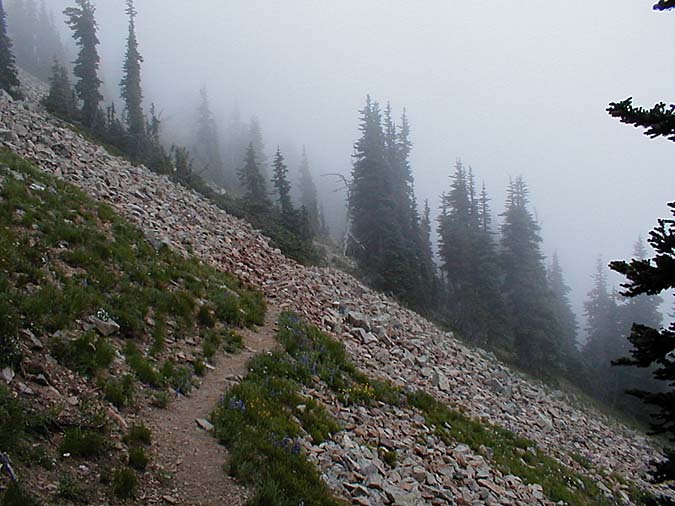 Trail Below The Ridge