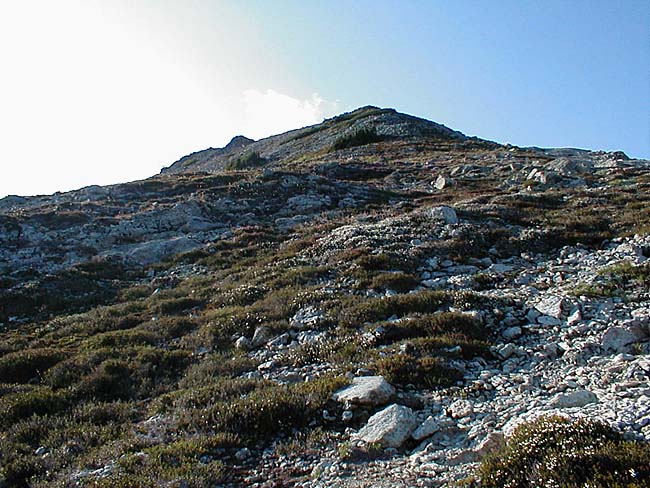 Summit of Point 7081