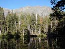 Floating Leaf Lake