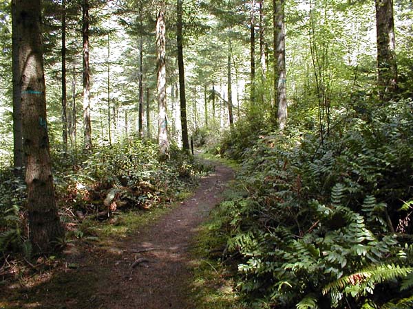 Hugo Peak Trail