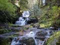 Pratt Lake Trail Falls