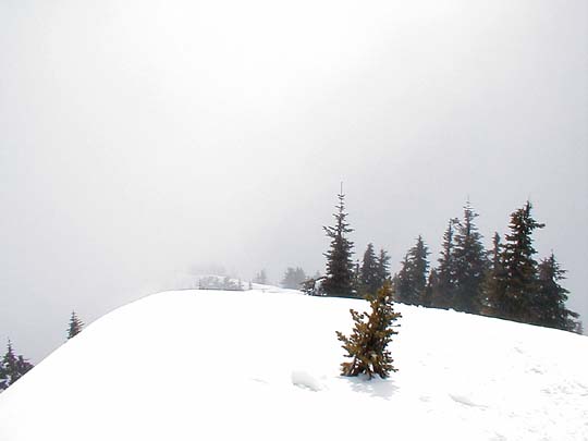 Sun On The Summit Of Pratt Mtn