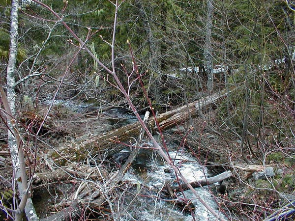 Crossing The Creek