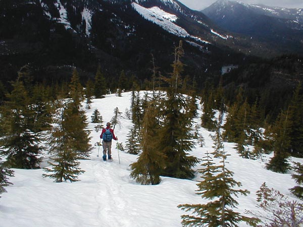 Descending The Lower Mountain