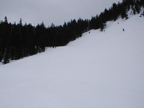 The Upper Basin