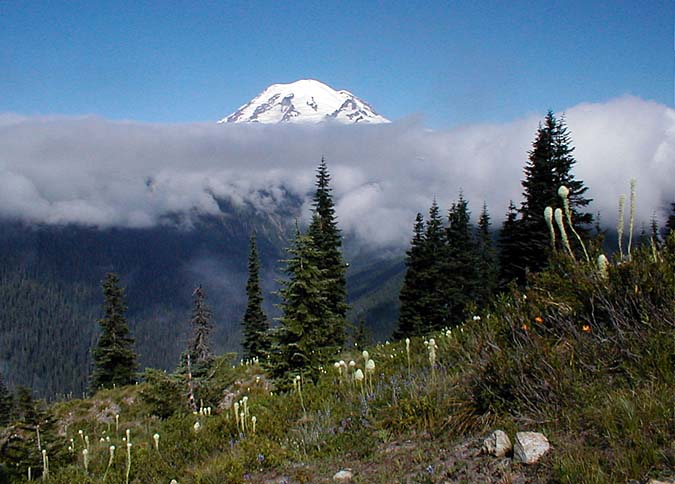 Cloudy Rainier