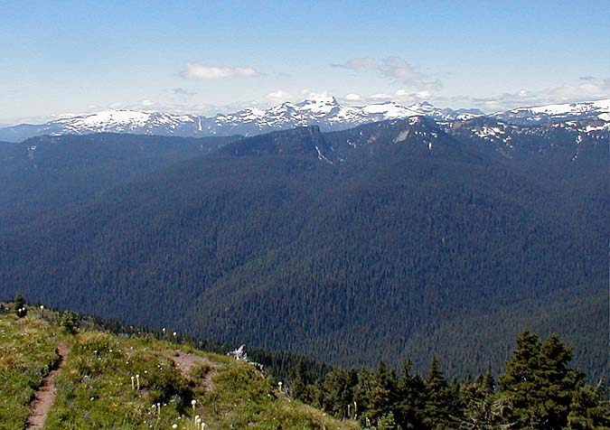 Tatoosh Range