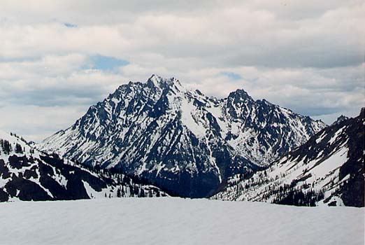 Stuart In The Early Spring