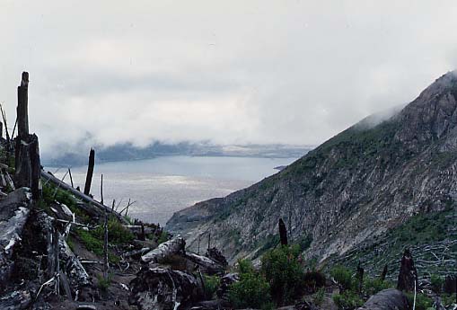 Norway Pass And Spirit Lake