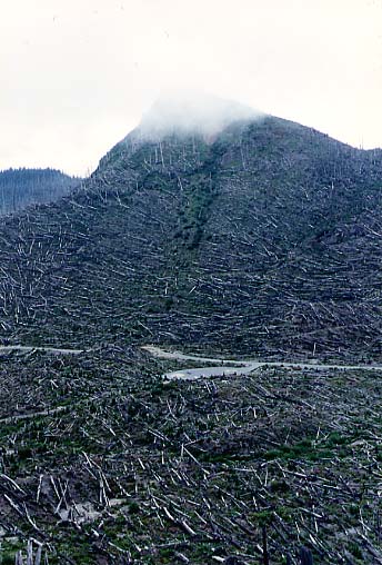 View of Trailhead