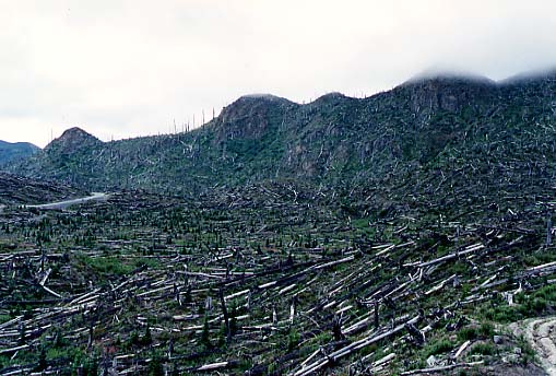 Start of the Trail View