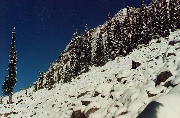 Talus Field With Snow