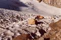 Tents Near Muir