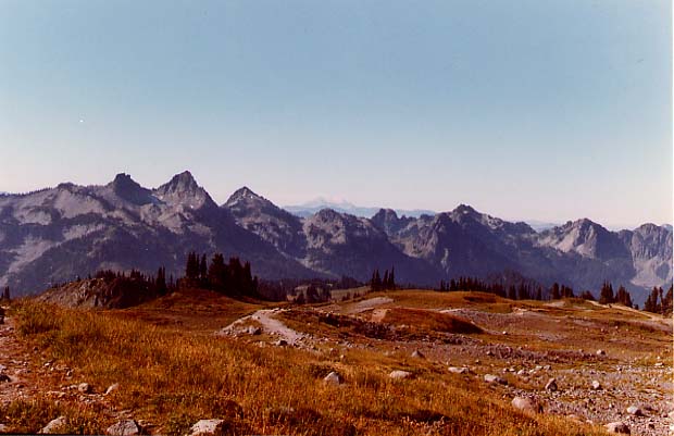 Trail Above Paradise