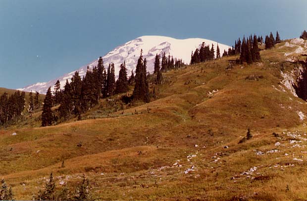 Rainier From Trail Above Paradise