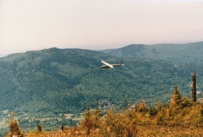 Glider Soaring By Tiger 3