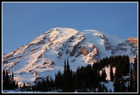 Late Afternoon Light On Mt. Raiinier From Paradise