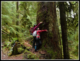 Group Hug On Boulder River Trail