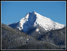 View North From Lake 22 Trail