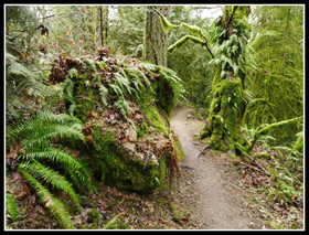 Great Colors On Margaret's Way Trail