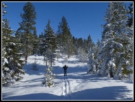 Gary Skis To Cheese Rock