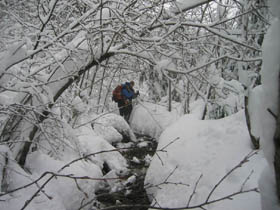 Creek Walking