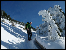 Gwen And Rime Ice Below Mt. Pilchuck