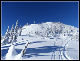 The Summit Of Mt. McCausland