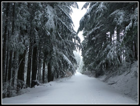 East Tiger Mountain Road