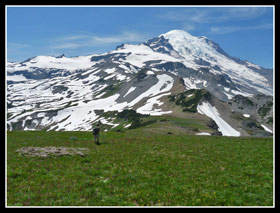 Mt. Rainier And Meadows Above Pnahandle Gap