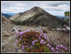 Three Brothers From Nvaho Ridge