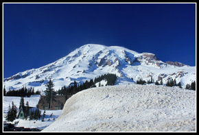 Mt. Rainier From Paradise